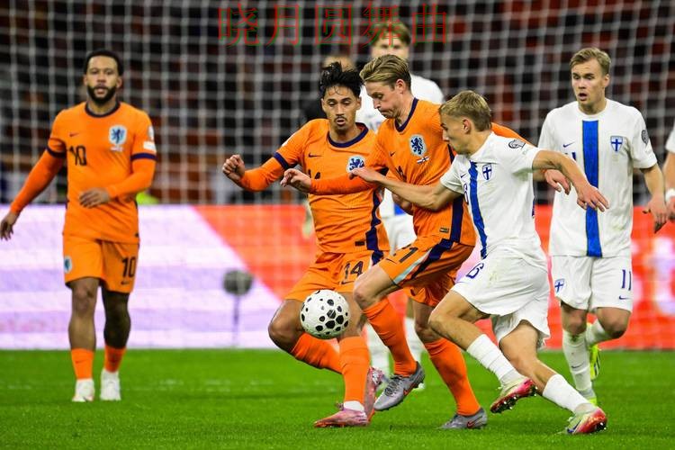 世界杯买球平台荷兰赛事热度为什么这么高 世界杯买球平台荷兰赛事热度为什么这么高